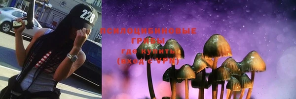 дурь Покачи