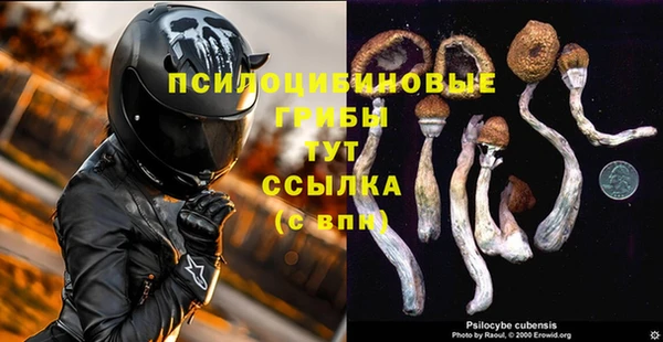 apvp Абинск